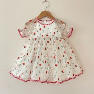 Stunning Storybook Cottage Embroidered Floral Organza Special Occassion Dress